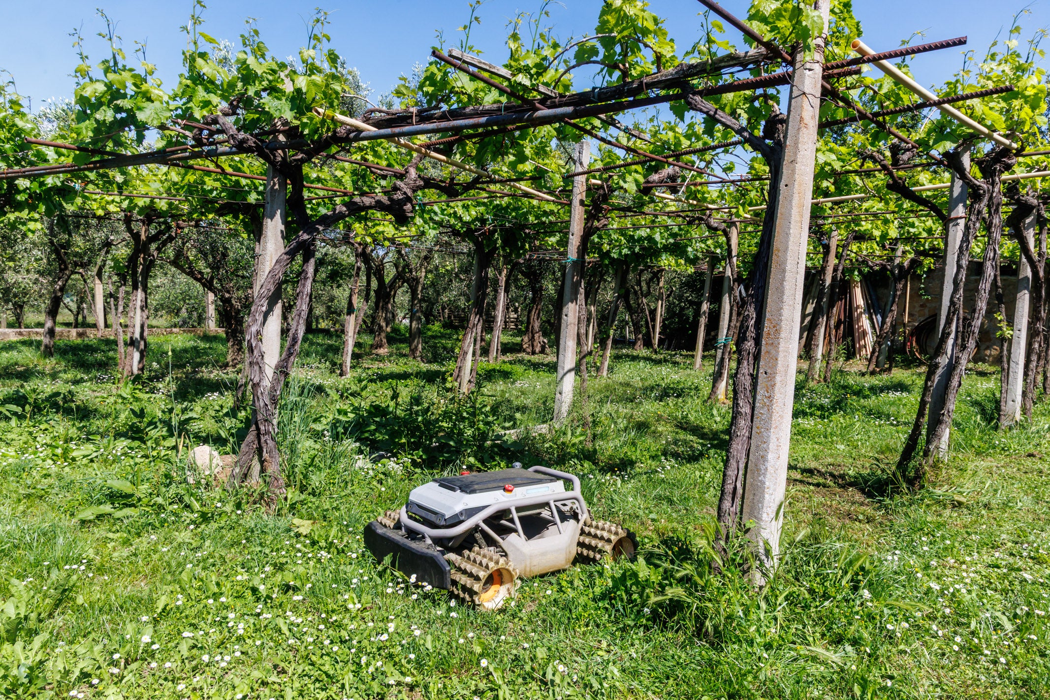 Mowrator S1 - 4WD 18Ah (with Off-road Wheels)